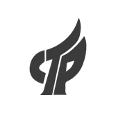 技術(shù)團(tuán)隊